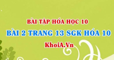 Bài 2 trang 13 SGK Hóa 10: Số khối, Số hiệu nguyên tử, nguyên tử khối trung bình